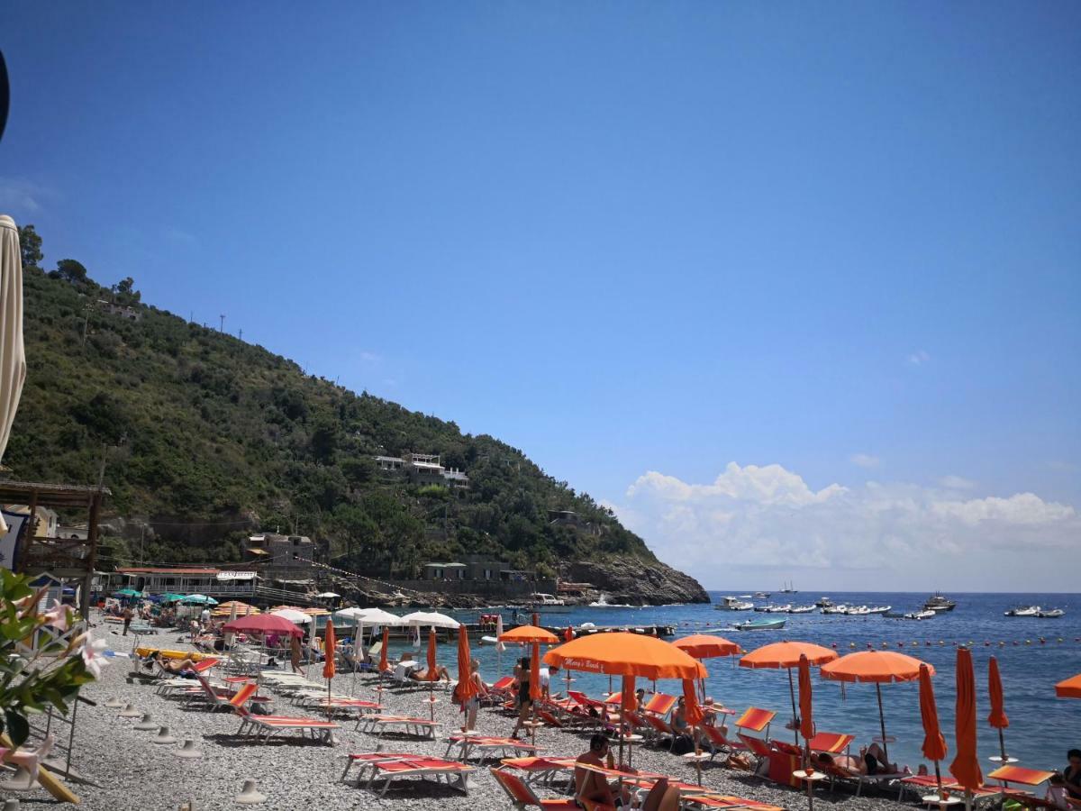 Il Quadrifoglio Villa Massa Lubrense Buitenkant foto